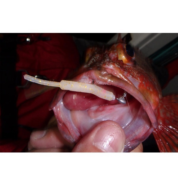 ガルプ！SWベビーサーディン　2インチ